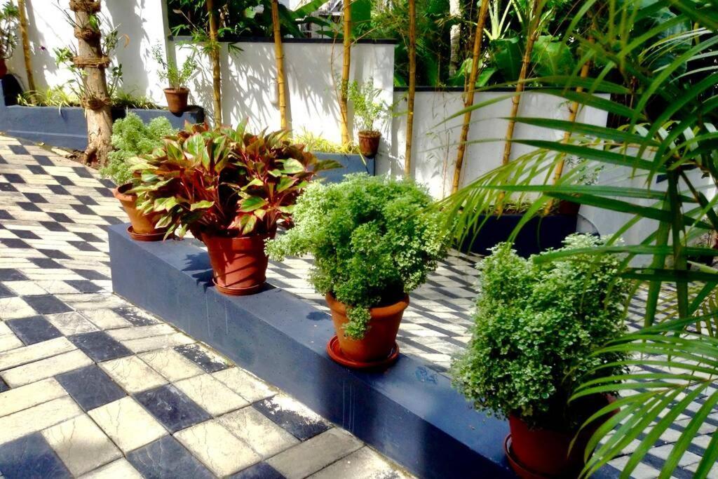 होटल के अलावा Royale Living Spaces - Luxury Serviced *